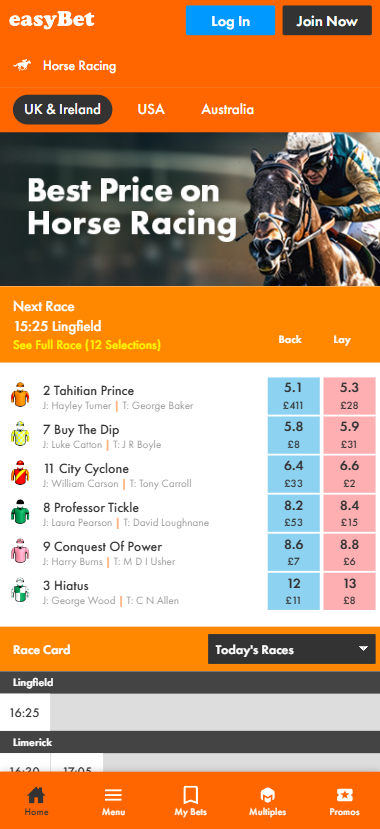 Easybet horse racing offer